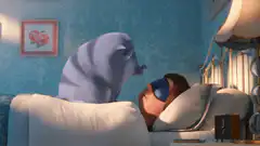 Cat wakes up sleeping person
