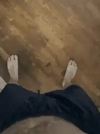 Dog jumps up to sniff person's crotch