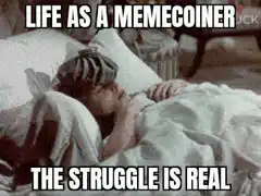 Life as a Memecoiner the struggle is real
