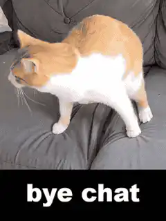 Cat disappears into couch gap