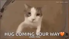 Cat hugging the camera