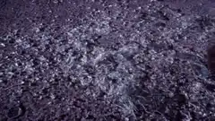 Alien hand touching the ground
