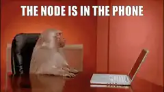 Business Monkey Laptop Throw
