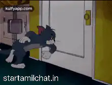Tom Cat Sliding Down Door