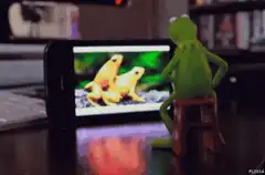 Kermit the Frog watching frogs on phone