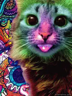 Psychedelic cat with tongue out