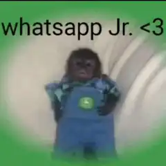 Baby gorilla whatsapp Jr glitch