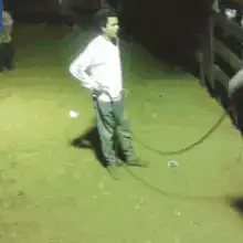 Cow jumps over green dumpster