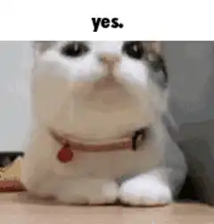 Cat with drawn on mouth saying yes