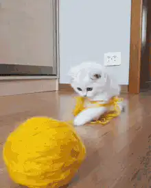 White kitten tangled in yellow yarn