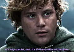Samwise Gamgee salt Shire