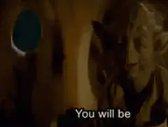 Yoda You Will Be Meme