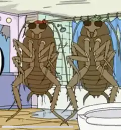 Cockroaches showering with sunglasses