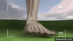 3D Foot X-ray Animation