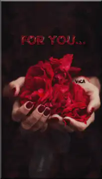 Hands holding red rose petals