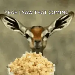 Fennec Fox with Sugar Yeah I Saw That Coming