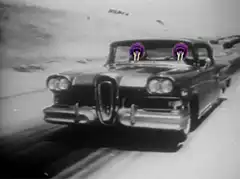 purple feathered heads in vintage car