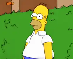 Homer Simpson falls into a bush