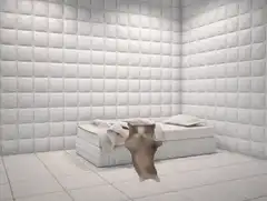 Dancing cat in white padded room