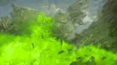 Green gas explosion destroying buildings