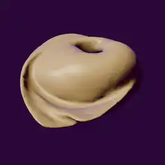 3d beige donut morphing