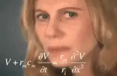 Confused Math Lady