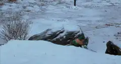 Buddy the Elf throws a snowball
