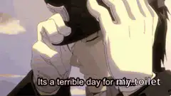 Its a terrible day for my toilet