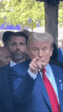 Donald Trump pointing and smirking