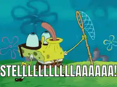 SpongeBob yelling STELLLLLLLLAAAAAAA!