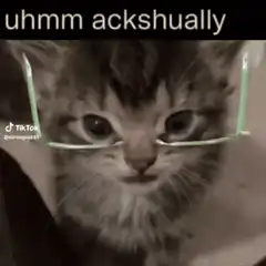 uhmm ackshually cat