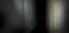 flashlight cat in dark hallway