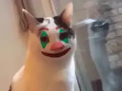 Cat with clown face filter
