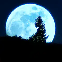 Silhouette cyclist rides across full moon