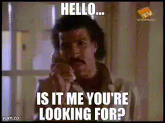 Is it me you're looking for? GIF