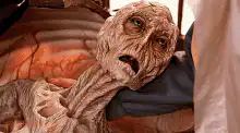 The Creature from the Black Lagoon