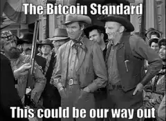 The Bitcoin Standard This could be our way out