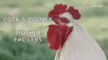 Cock-a-doodle do mother f%#ers rooster