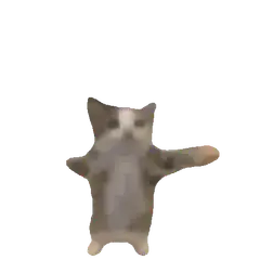 Stretching and morphing cat