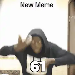New Meme 61