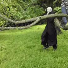 Ghost in black robe carrying a branch
