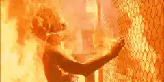 Woman engulfed in flames against a fence
