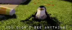 Skipper hides in hole