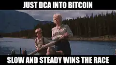 Just DCA into Bitcoin slow and steady wins the race
