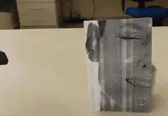 Stapler stapling a picture of a smiling man