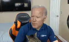 Joe Biden throws cat off lap