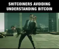 Shitcoiners Avoiding Understanding Bitcoin