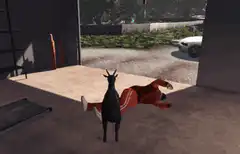 Goat kicks man out of garage