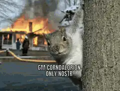 Squirrel peeking from tree with burning house