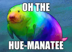 Oh the Hue-Manatee